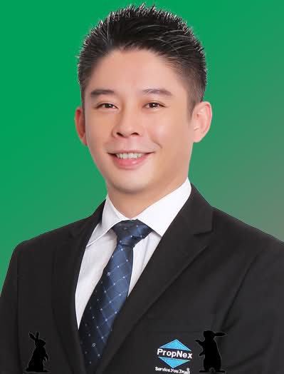 David Ho 何健雄